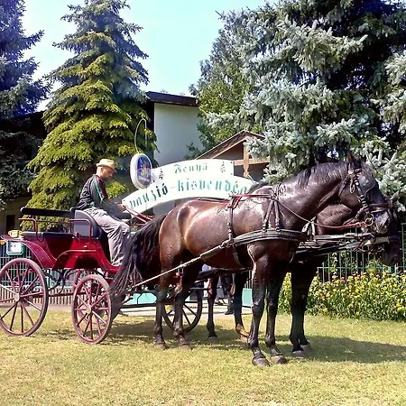 B&B Fenyo Panzio Kisvendeglo Lakitelek